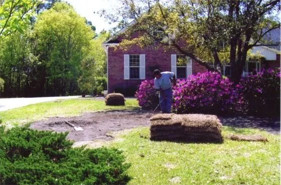 Expert residential landscaping in Burgaw, NC - Mexican Landscape Services
