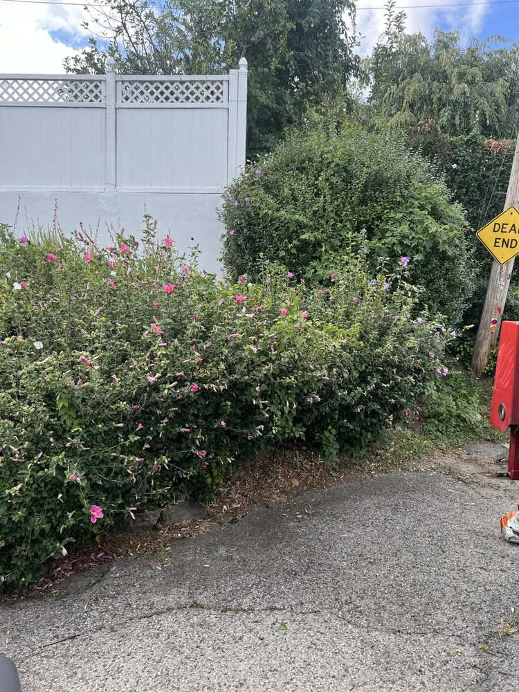 Trusted garden landscaping experts serving White Plains, NY - Mexiguate