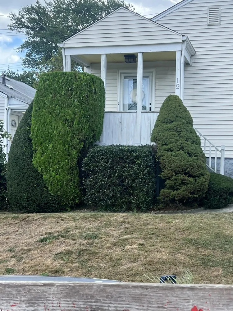 Reliable landscape design for year-round maintenance in White Plains, NY by Mexiguate