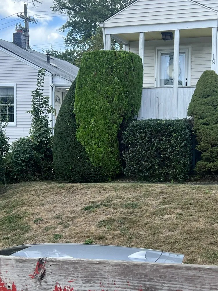 Affordable lawn care service with custom design across White Plains, NY - Mexiguate