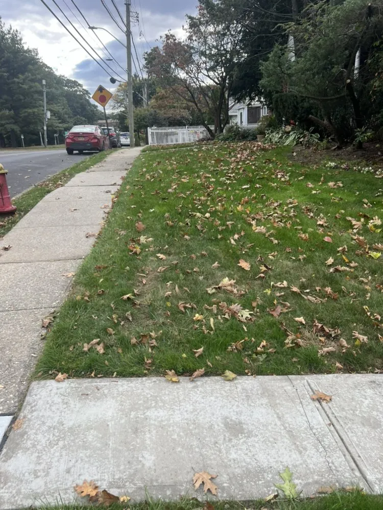 Custom lawn mowing service experts serving White Plains, NY - Mexiguate