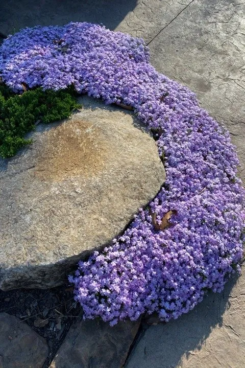 Local outdoor landscaping for year-round maintenance across Joplin, MO - Meyco Landscape Contractors