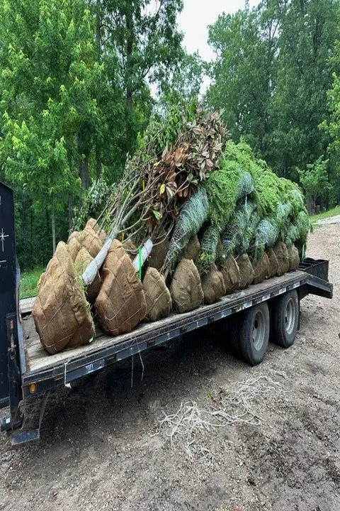 Affordable lawn mowing service in Joplin, MO - Meyco Landscape Contractors