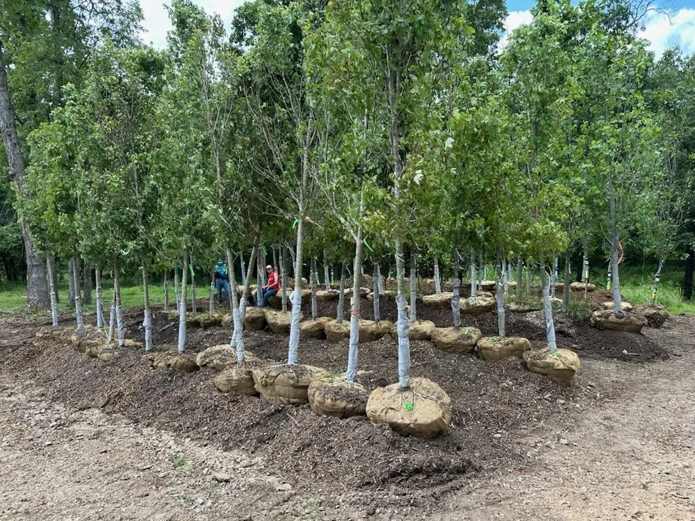 Professional garden landscaping for outdoor upgrades across Joplin, MO - Meyco Landscape Contractors