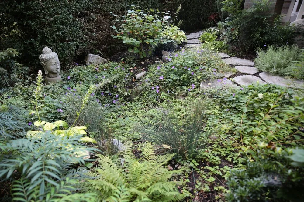 Trusted lawn care service for beautiful yards across Bridal Veil, OR - Meyer Landscape Architecture
