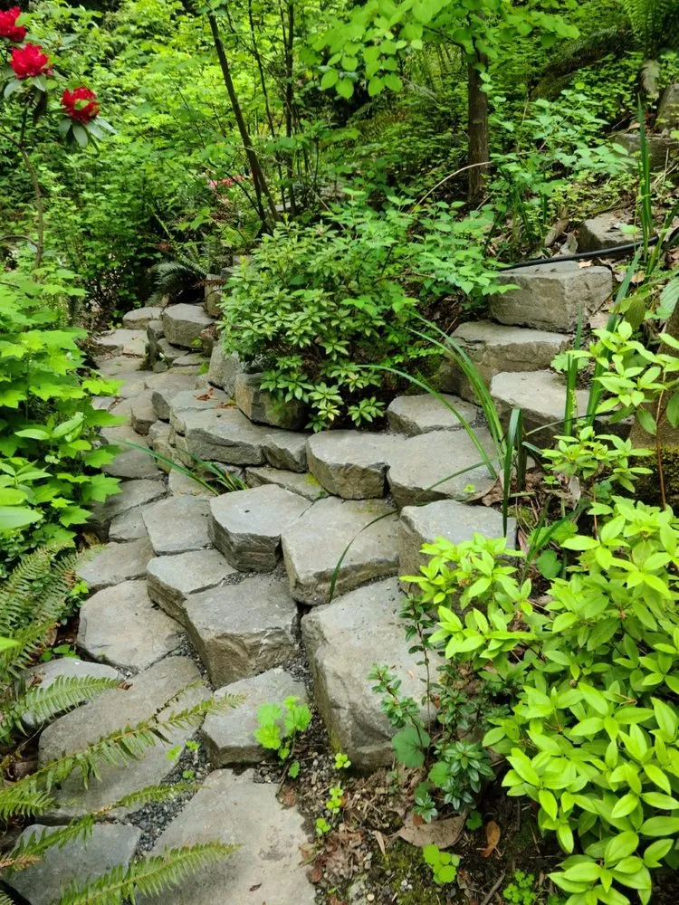 Trusted lawn mowing service for year-round maintenance in Bridal Veil, OR by Meyer Landscape Architecture