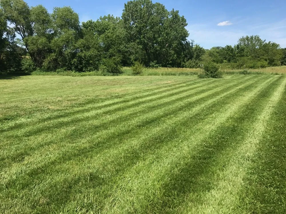 Expert yard cleanup service in Topeka, KS - Meyer Lawn and Tree Care
