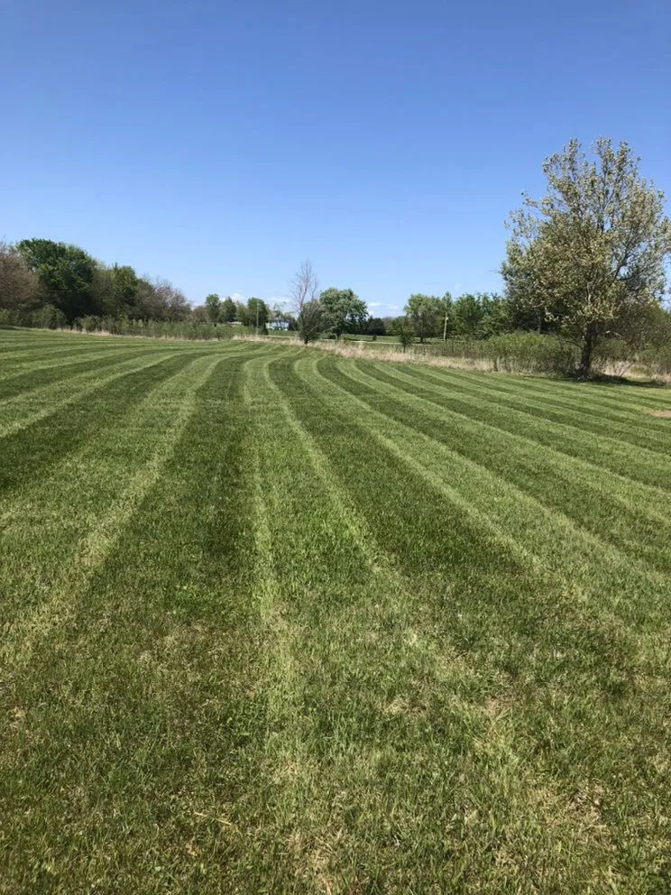 Professional landscaping services in Topeka, KS - Meyer Lawn and Tree