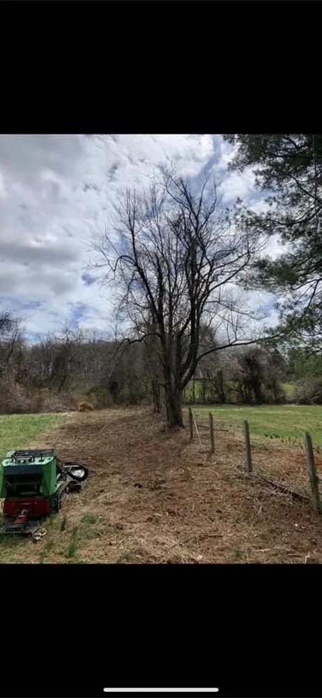 Top-rated landscape design for beautiful yards across Spring City, PA - Meyer Property Maintenance