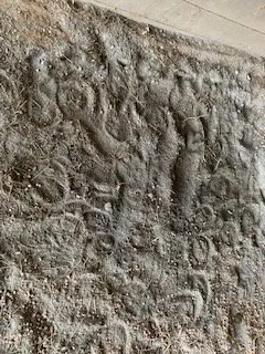 Custom lawn care service for residential properties in Spring City, PA by Meyer Property Maintenance