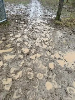 Local yard cleanup service in Spring City, PA - Meyer Property Maintenance