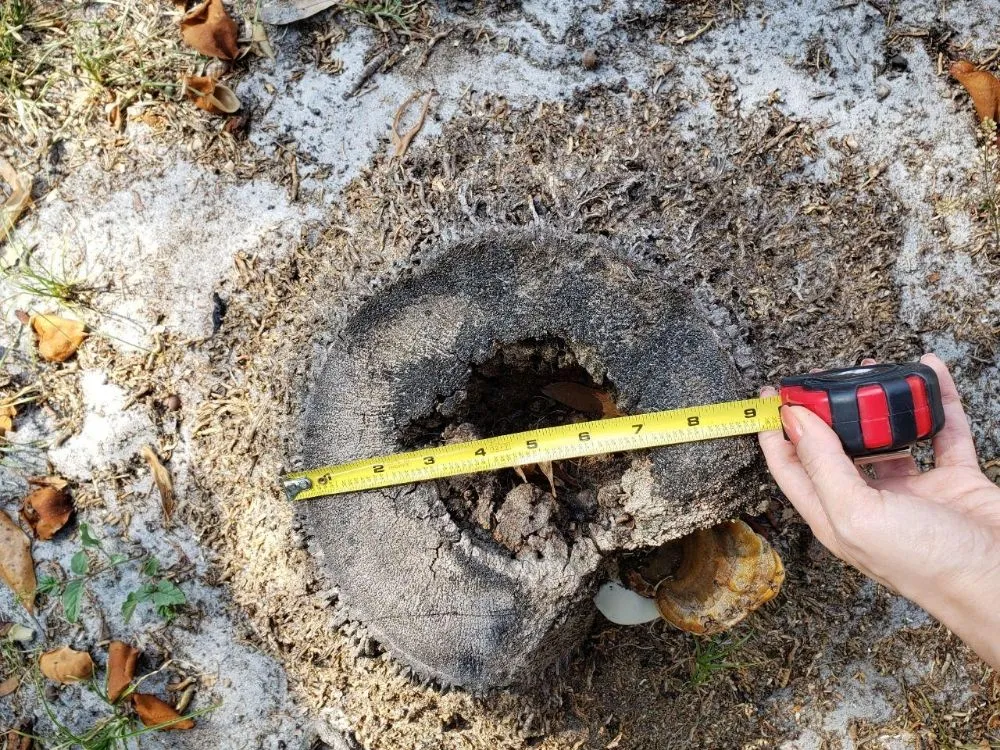 Reliable outdoor landscaping experts serving DeLand, FL - Meyer's all in one complete contracting service