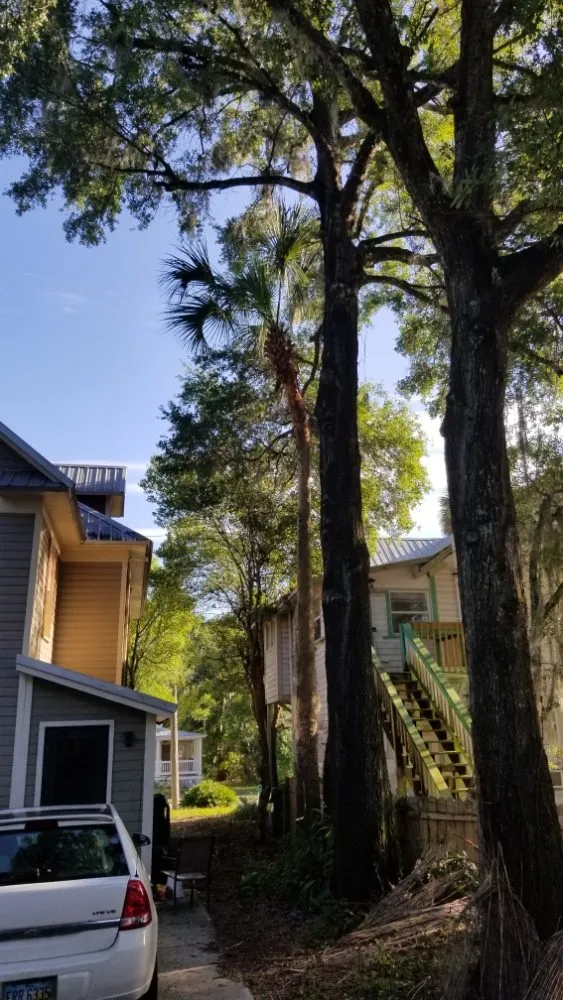 Local outdoor landscaping experts serving DeLand, FL - Meyer's all in one complete contracting service