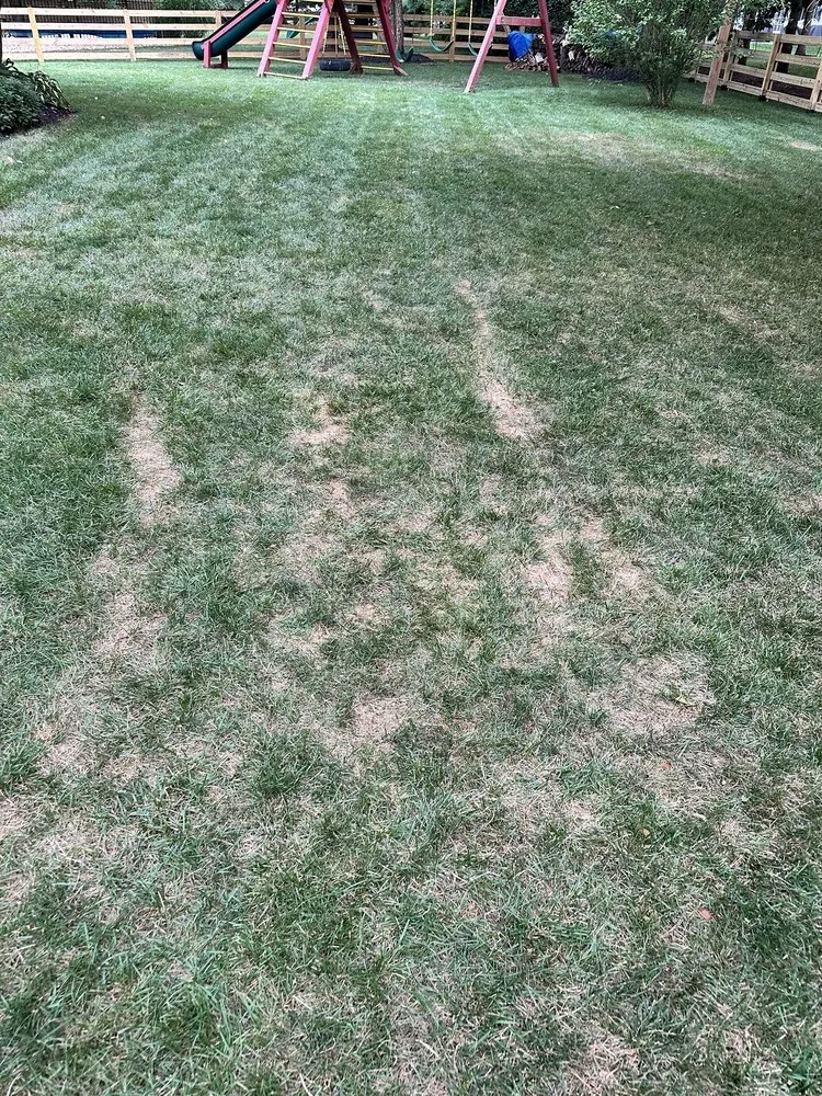 Reliable garden landscaping in Lewis Center, OH by Meyers Green Services