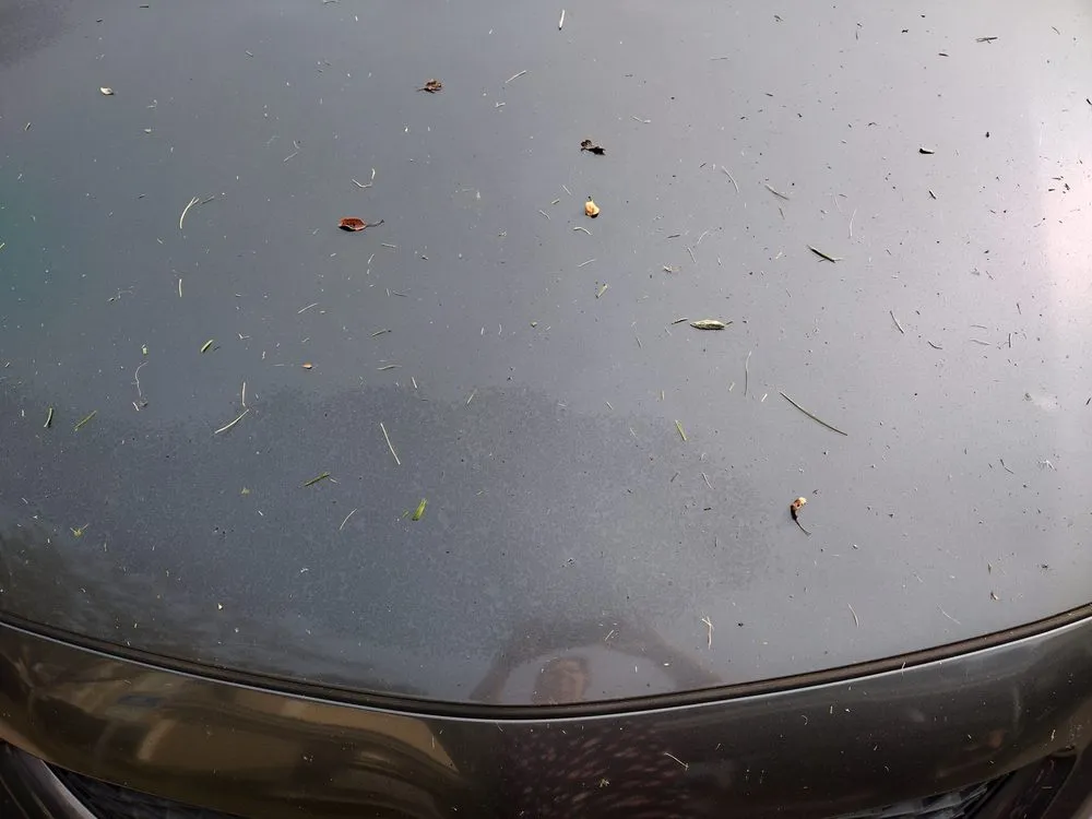 Expert landscape installation in Marysville, OH by Meyers Home & Garden