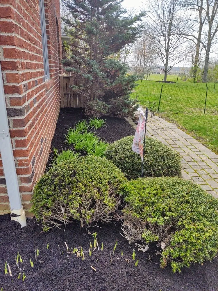 Custom lawn care service for beautiful yards across Marysville, OH - Meyers Home & Garden