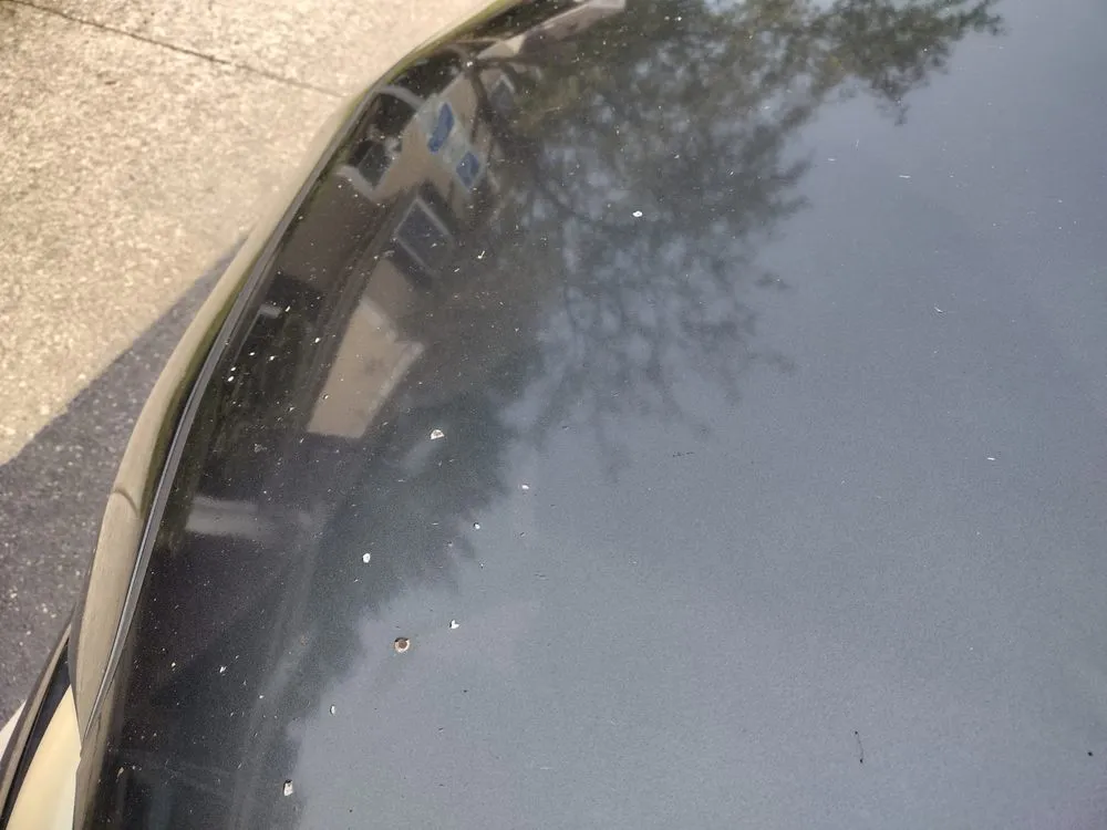 Top-rated garden landscaping in Marysville, OH - Meyers Home & Garden