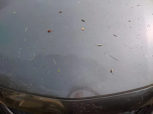 Meyers Home & Garden Logo