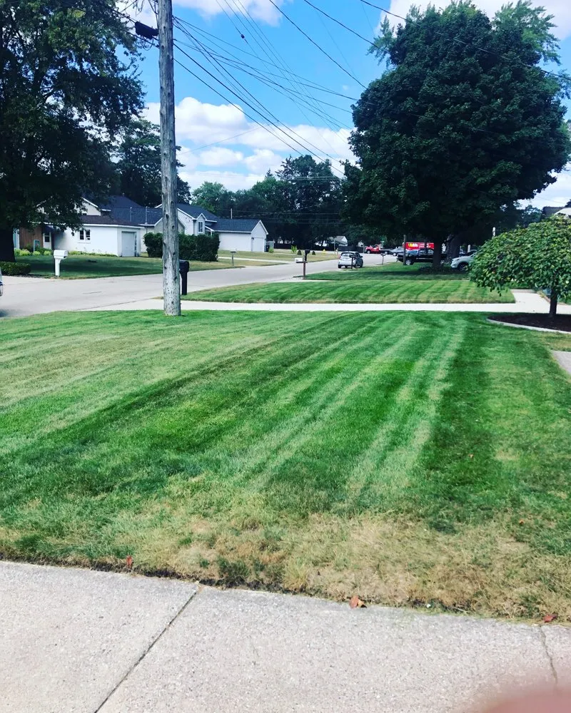 Top-rated yard maintenance in Sturgis, MI - Meyers Landacape And Design