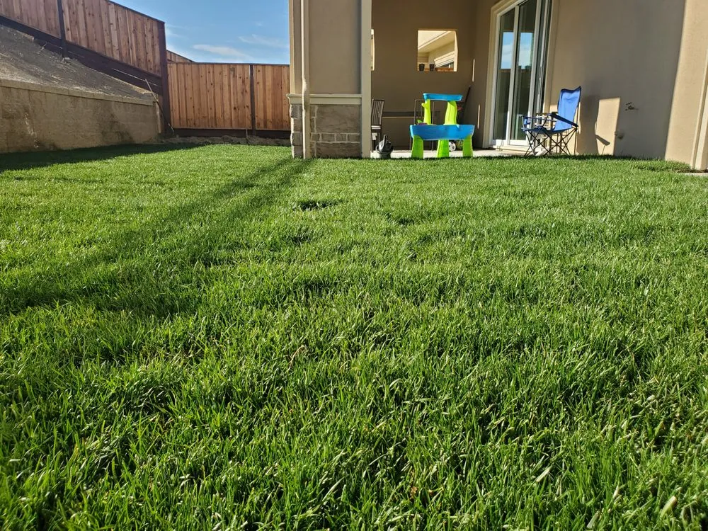 Affordable residential landscaping in Castro Valley, CA by Meyers Landscaping