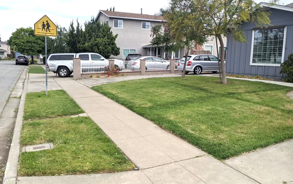 Affordable landscape installation experts serving Castro Valley, CA - Meyers Landscaping