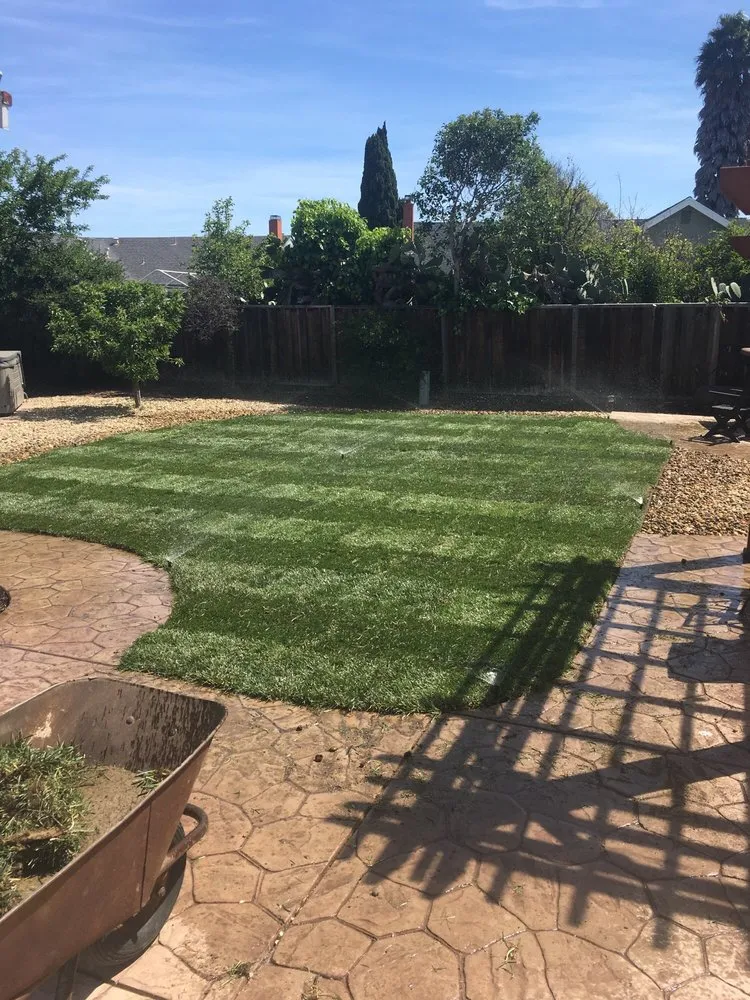 Top-rated residential landscaping near you across Castro Valley, CA - Meyers Landscaping