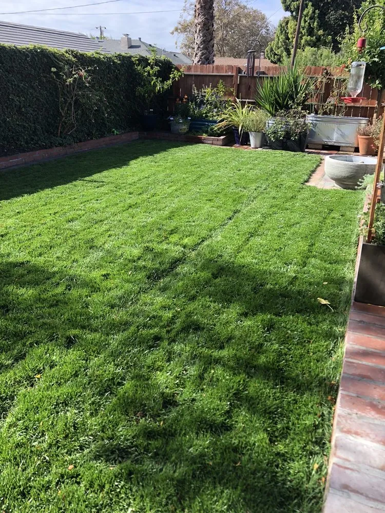 Expert yard maintenance in Castro Valley, CA by Meyers Landscaping