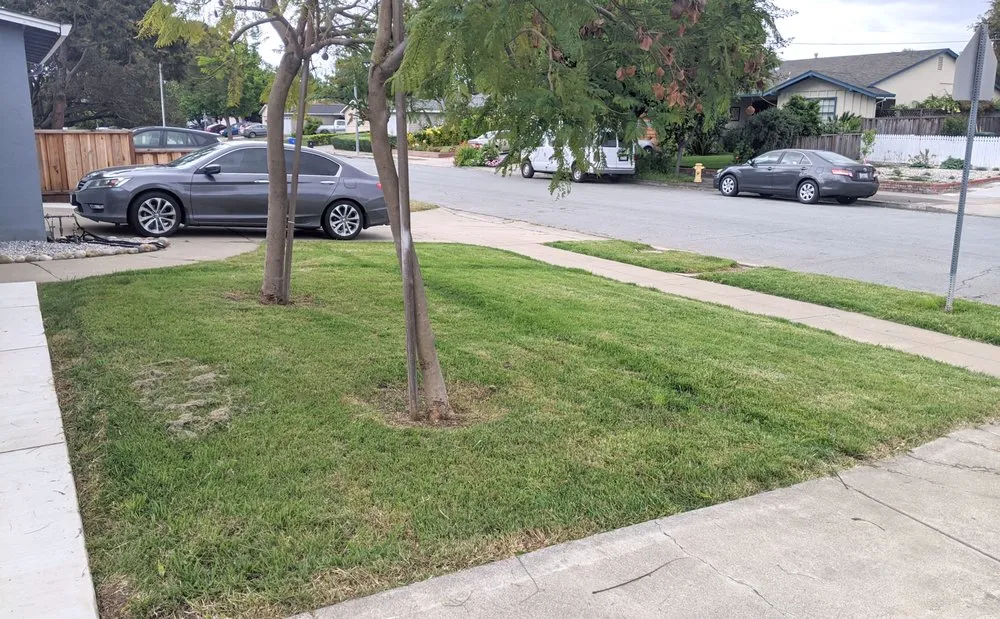 Affordable garden landscaping in Castro Valley, CA - Meyers Landscaping