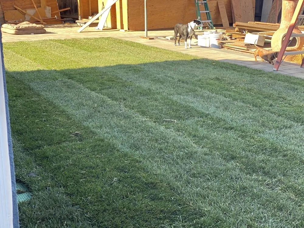 Professional lawn mowing service in Castro Valley, CA by Meyers Landscaping