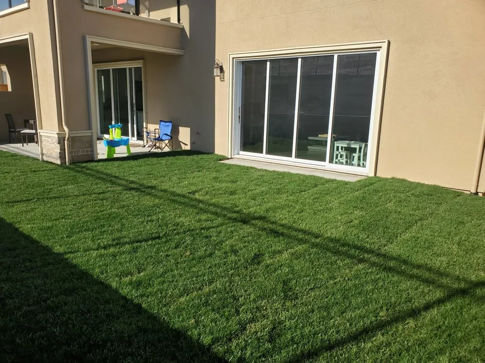 Custom yard maintenance near you in Castro Valley, CA by Meyers Landscaping