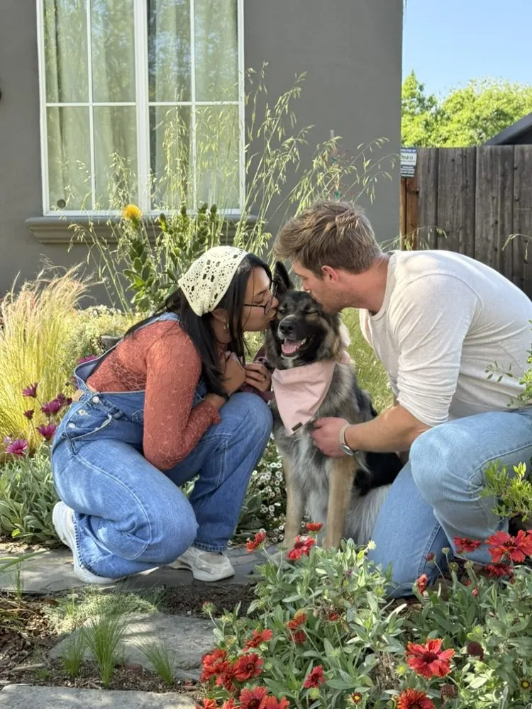 Professional outdoor landscaping in Castro Valley, CA - Meyers Landscaping