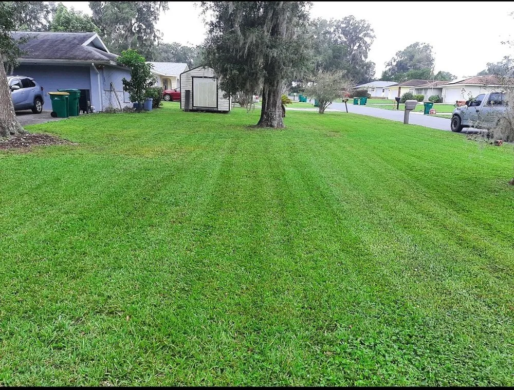Expert yard cleanup service near you across Homosassa, FL - Meyers Mow and Go