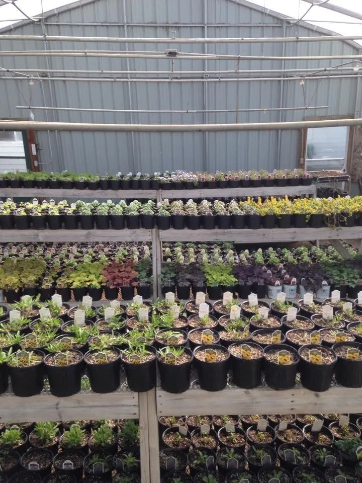 Reliable landscape installation in Waterloo, IA - Meyers Nursery