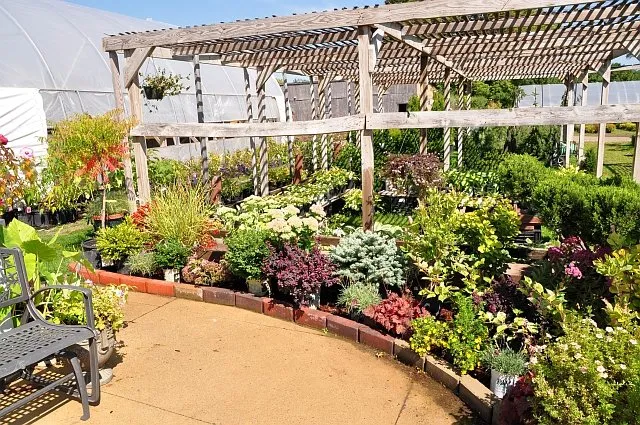 Expert outdoor landscaping for year-round maintenance in Waterloo, IA by Meyers Nursery