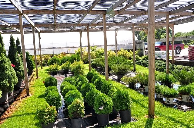 Professional landscape installation in Waterloo, IA by Meyers Nursery