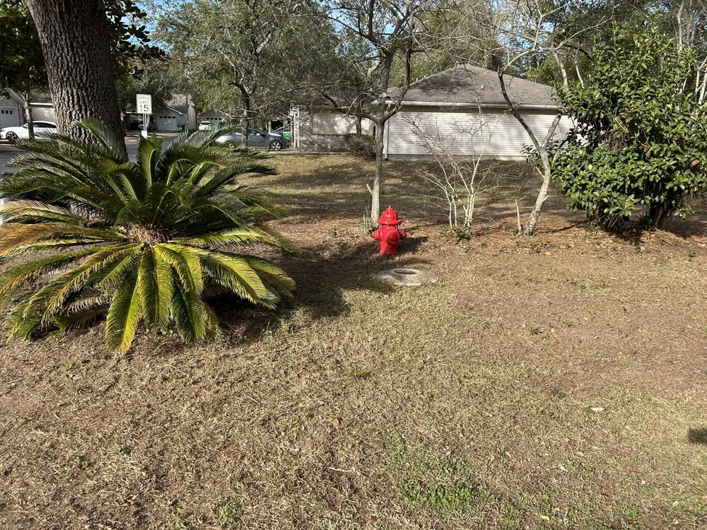 Custom outdoor landscaping for outdoor upgrades in Fort Walton Beach, FL by Meyer’s Services