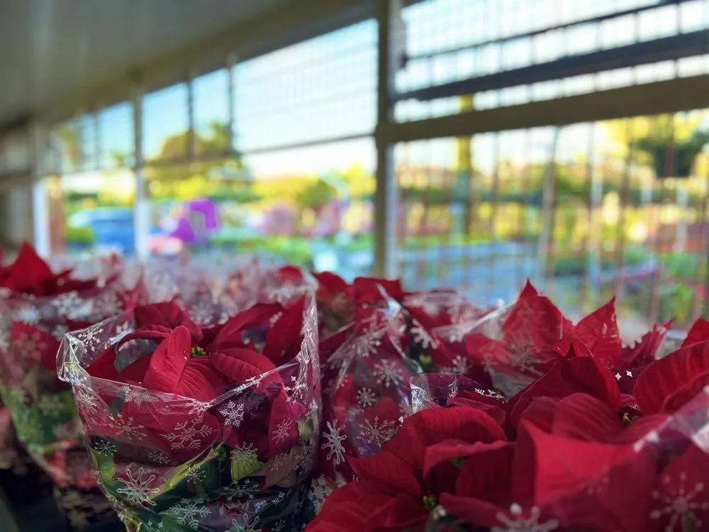 Professional garden landscaping in West Palm Beach, FL by Meyer's Turf & Landscape Nursery