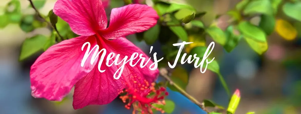 Affordable yard cleanup service with custom design across West Palm Beach, FL - Meyer's Turf & Landscape Nursery