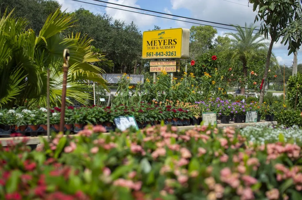 Local residential landscaping experts serving West Palm Beach, FL - Meyer's Turf & Landscape Nursery