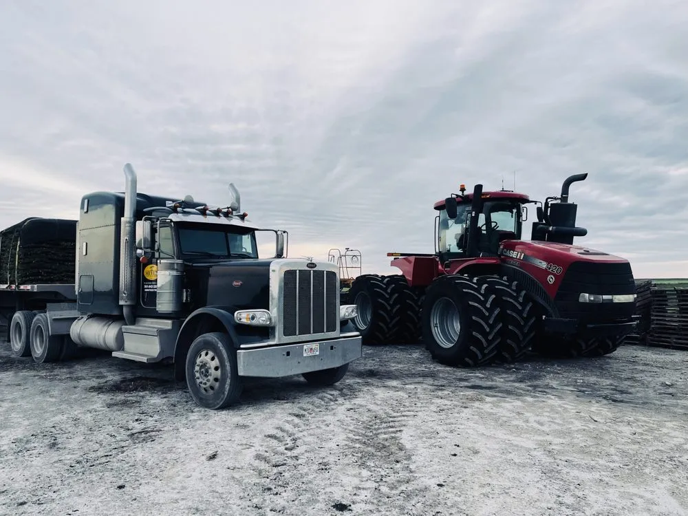 Professional landscape installation in West Palm Beach, FL - Meyer's Turf