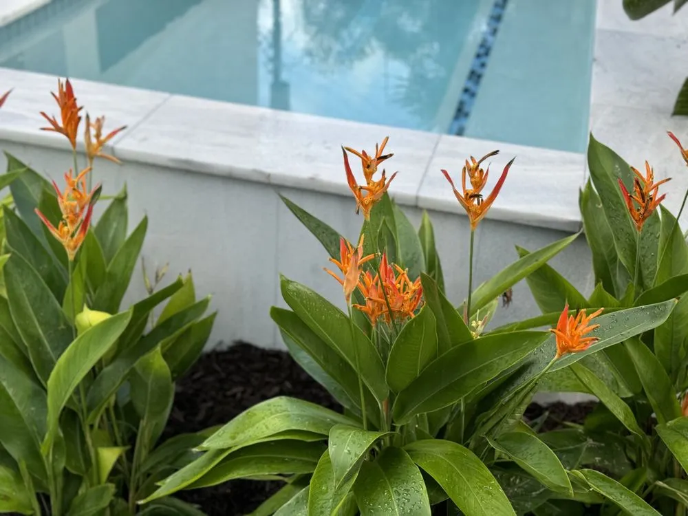 Custom outdoor landscaping for homes in West Palm Beach, FL by Meyer's Turf