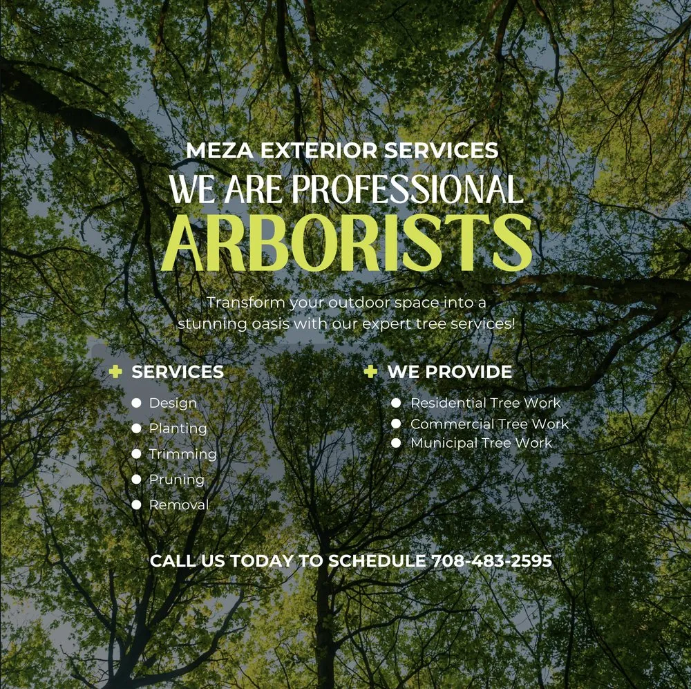 Affordable outdoor landscaping for outdoor upgrades in Waukegan, IL by Meza Exterior Services