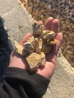 Professional landscape design for year-round maintenance in Perris, CA by Meza Landscaping Supplies