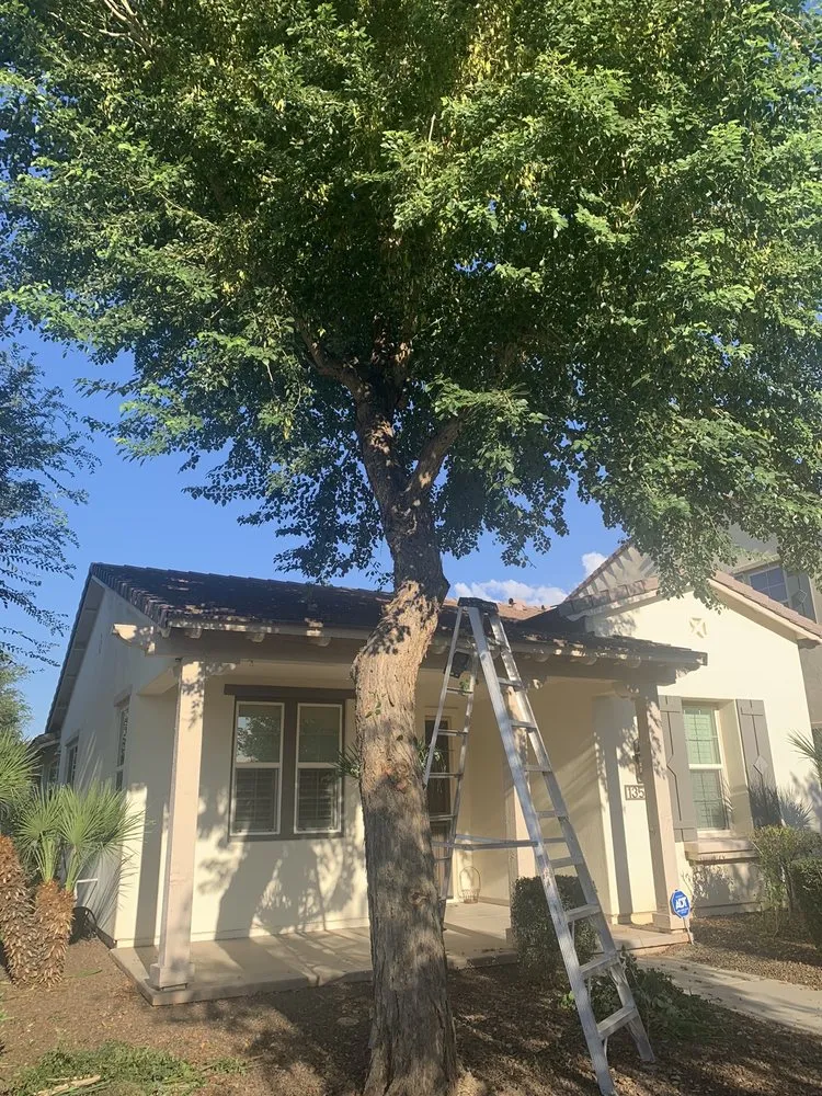 Professional lawn mowing service experts serving Surprise, AZ - Meza Landscaping