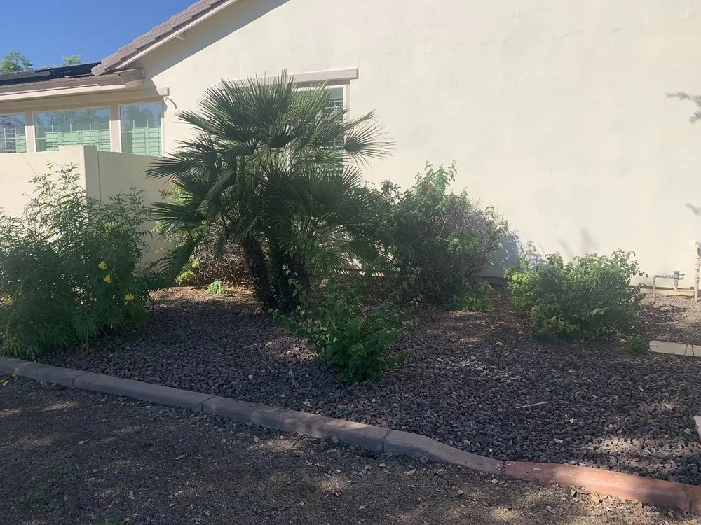 Affordable outdoor landscaping for residential properties in Surprise, AZ by Meza Landscaping