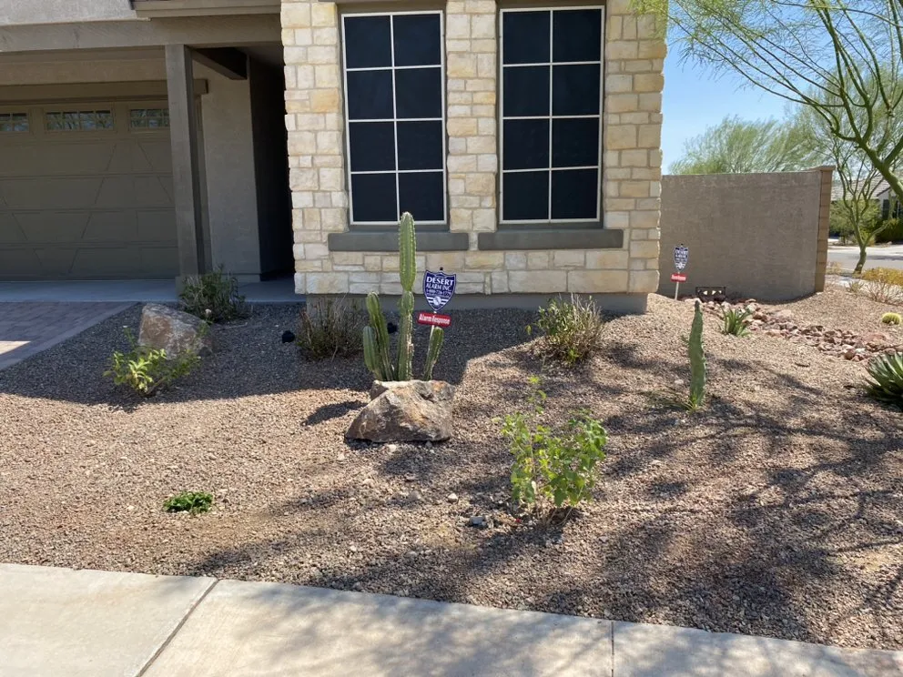 Top-rated yard cleanup service experts serving Surprise, AZ - Meza Landscaping