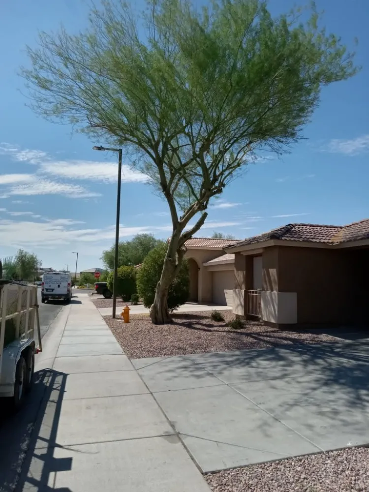 Professional landscape installation near you across Surprise, AZ - Meza Landscaping