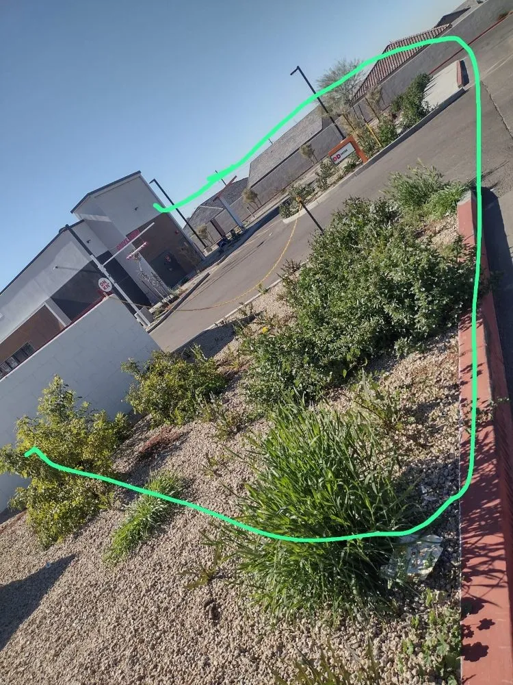 Custom residential landscaping near you across Surprise, AZ - Meza Landscaping