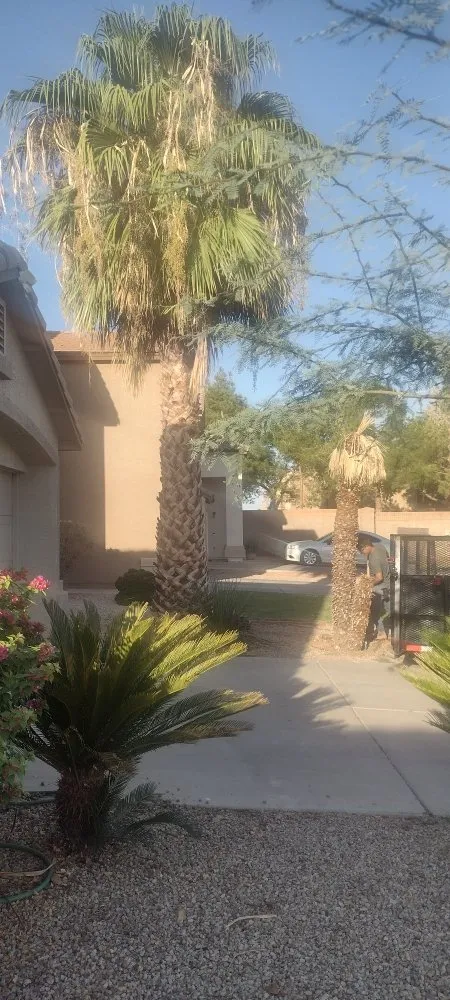 Expert outdoor landscaping with custom design across Surprise, AZ - Meza Landscaping