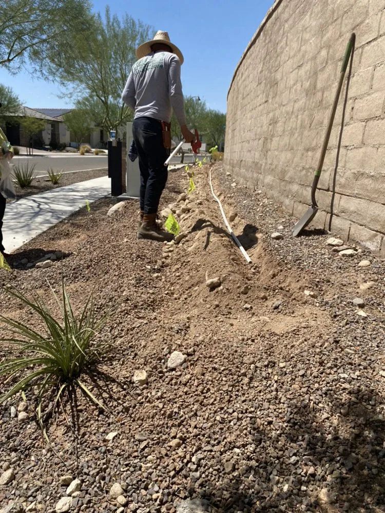 Trusted lawn care service experts serving Surprise, AZ - Meza Landscaping